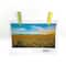 Medium Neon Clothespins by Recollections™